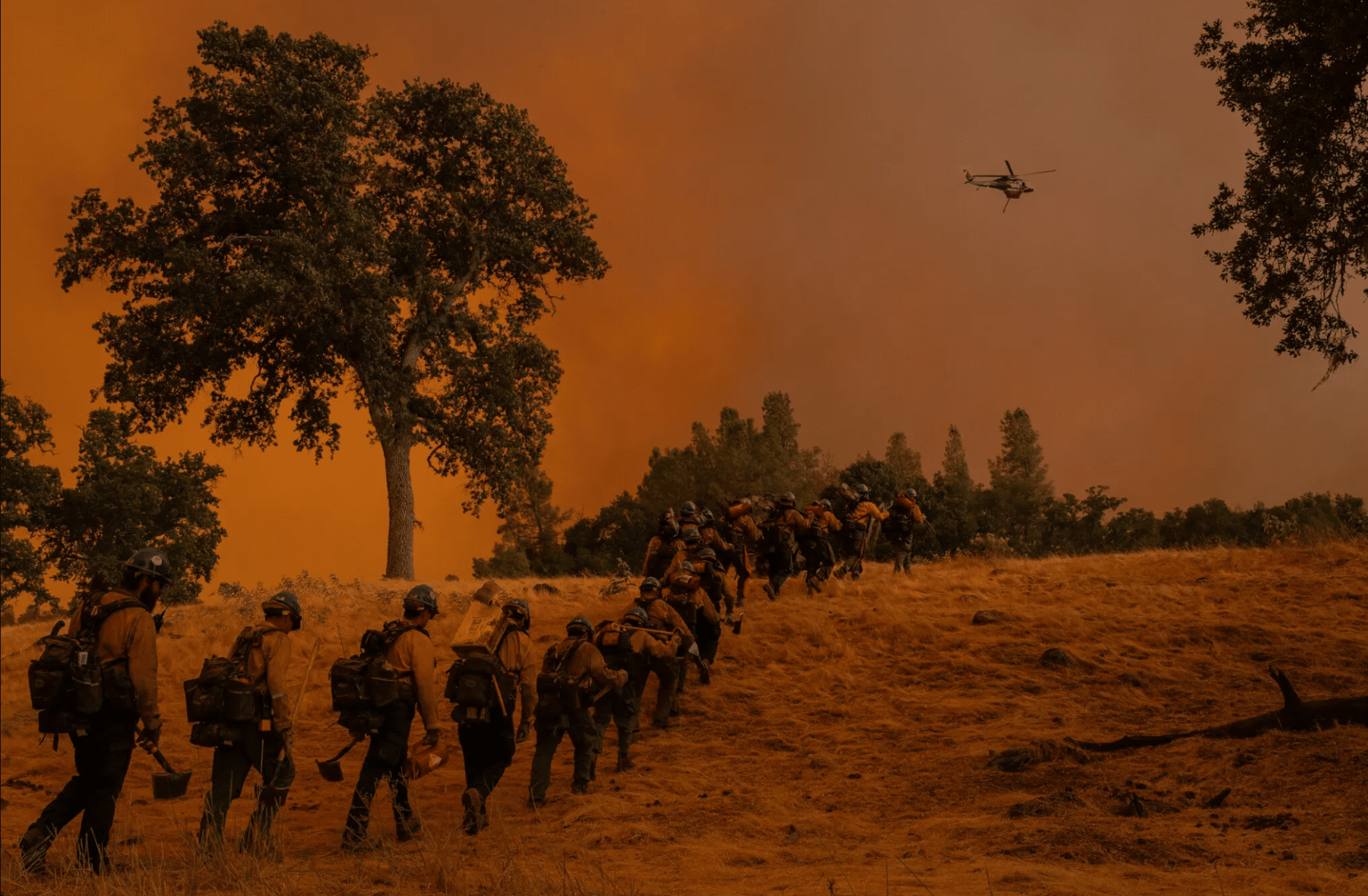 A line of firefighters walk up a small hill with an orange fire-lit sky in the background and a helicopter above. Photo courtesy of the New York Times